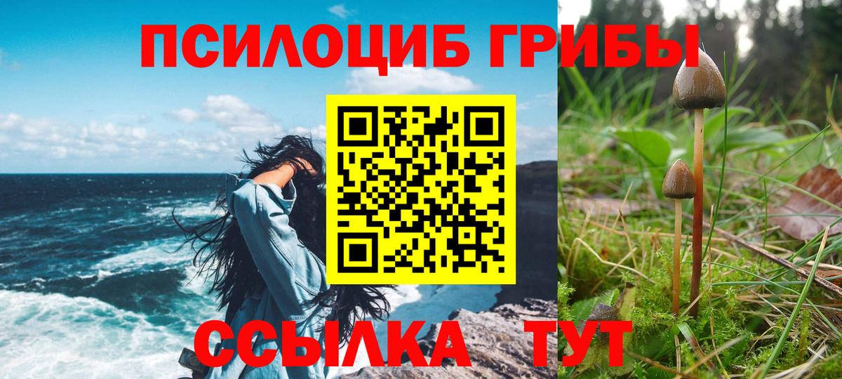 Псилоцибиновые грибы Magic Shrooms Лангепас